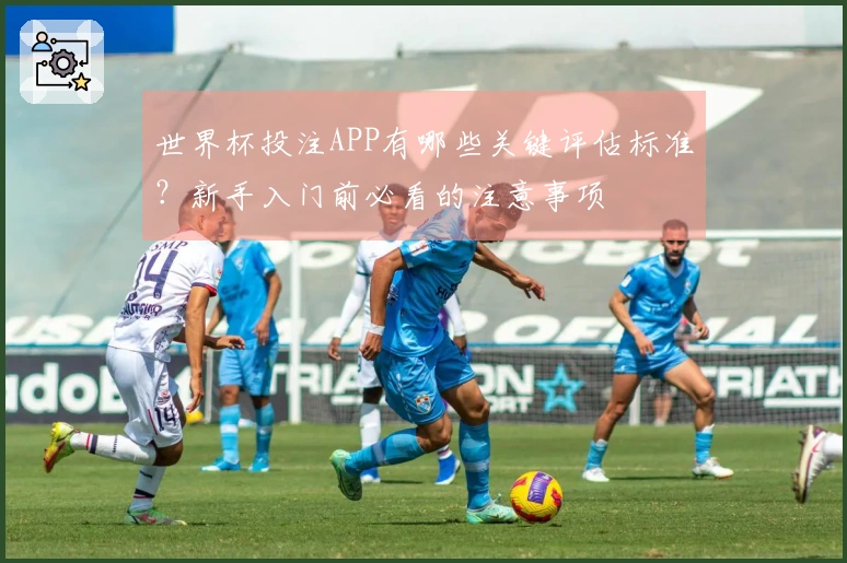 世界杯投注APP有哪些关键评估标准？新手入门前必看的注意事项
