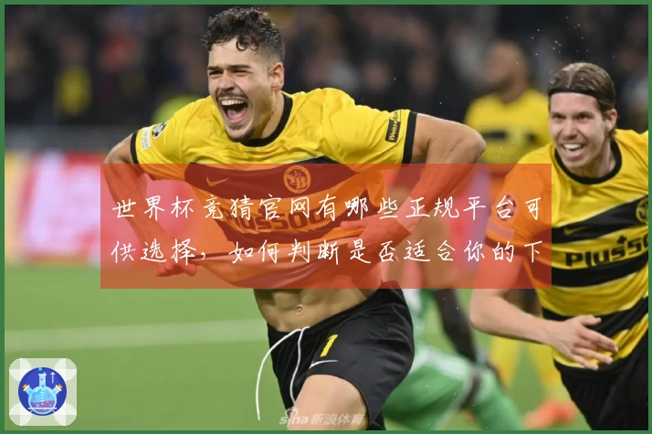 世界杯竞猜官网有哪些正规平台可供选择，如何判断是否适合你的下注需求