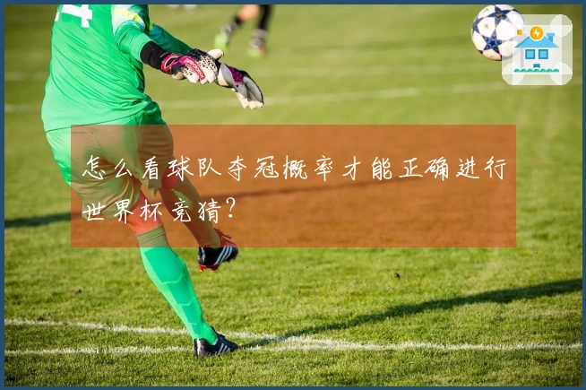 怎么看球队夺冠概率才能正确进行世界杯竞猜？