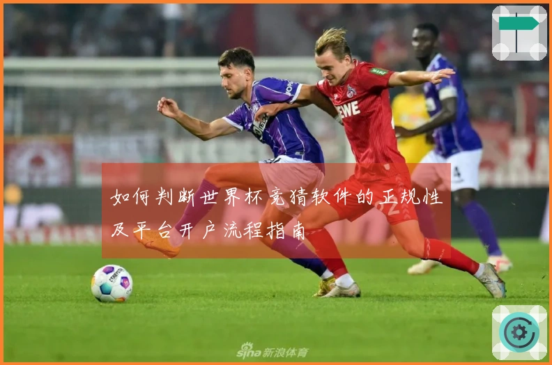 如何判断世界杯竞猜软件的正规性及平台开户流程指南