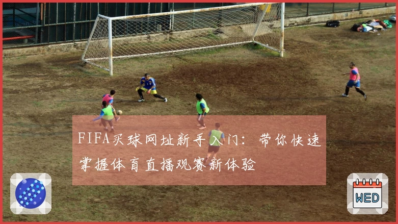 FIFA买球网址新手入门：带你快速掌握体育直播观赛新体验