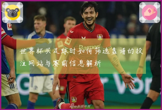 世界杯买足球时如何筛选靠谱的投注网站与赛前信息解析