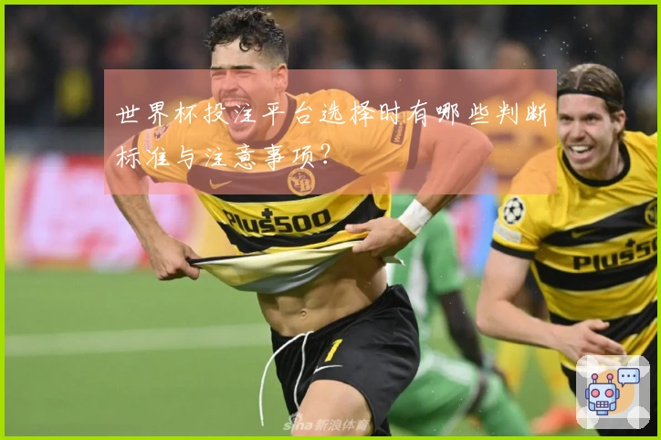 世界杯投注平台选择时有哪些判断标准与注意事项？