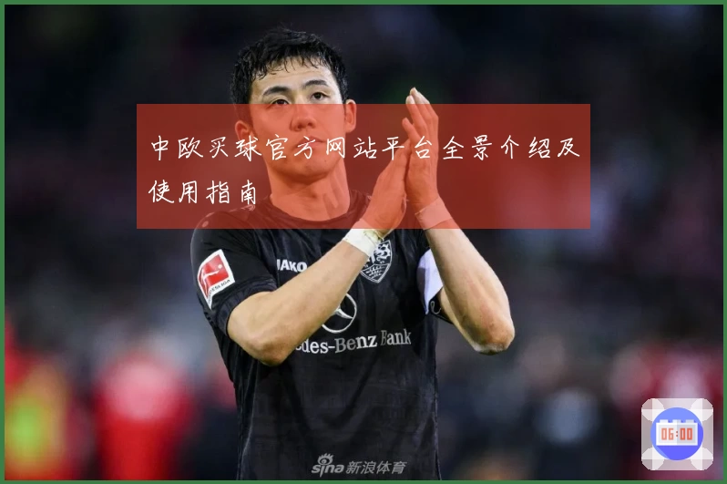 中欧买球官方网站平台全景介绍及使用指南