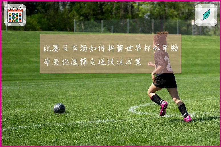 比赛日临场如何拆解世界杯冠军赔率变化选择合适投注方案
