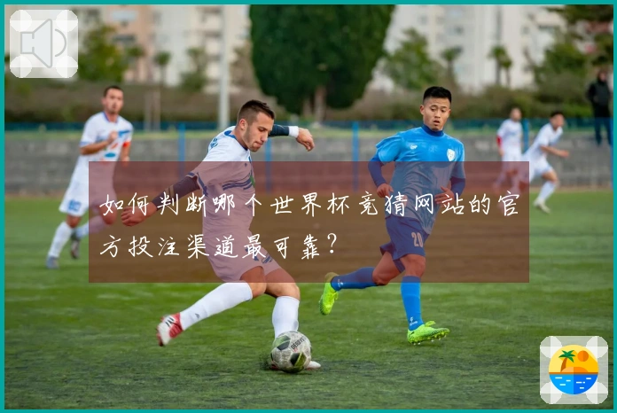 如何判断哪个世界杯竞猜网站的官方投注渠道最可靠？