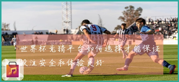 世界杯竞猜平台如何选择才能保证投注安全和体验良好