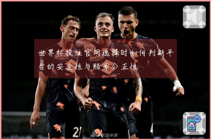 世界杯投注官网选择时如何判断平台的安全性与赔率公正性