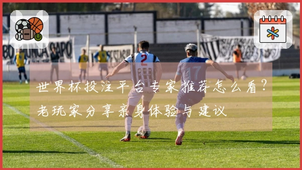 世界杯投注平台专家推荐怎么看？老玩家分享亲身体验与建议