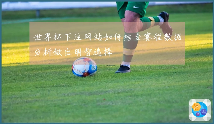 世界杯下注网站如何结合赛程数据分析做出明智选择