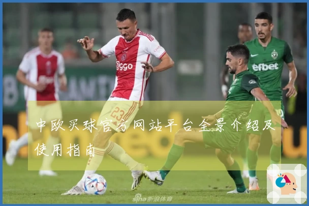 中欧买球官方网站平台全景介绍及使用指南