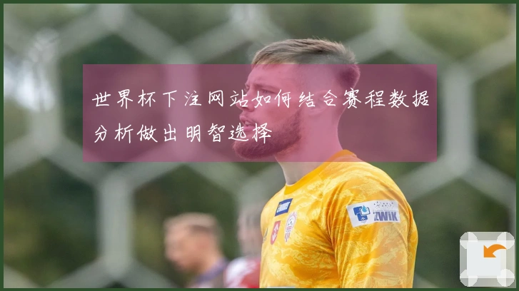 世界杯下注网站如何结合赛程数据分析做出明智选择